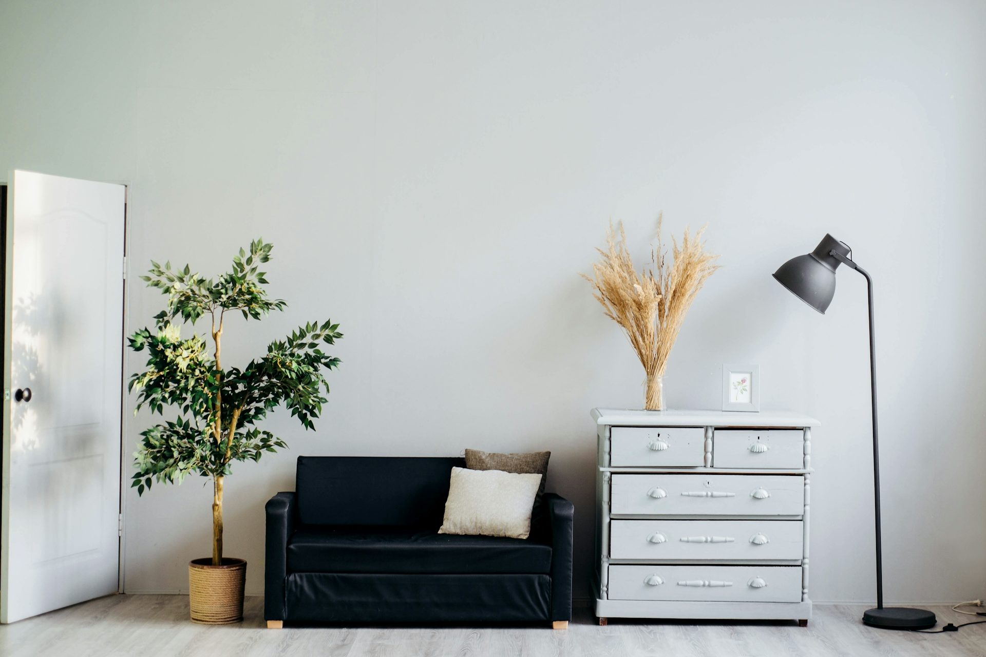 ein aufgeräumtes Zimmer mit einer geöffneten Tür, einer Pflanze, einem Sofa, einem Schrank und einer Stehlampe